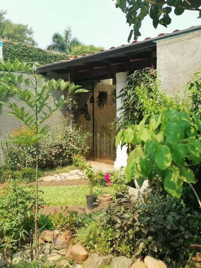 Granados Bed & Breakfast Асунсион Екстериор снимка