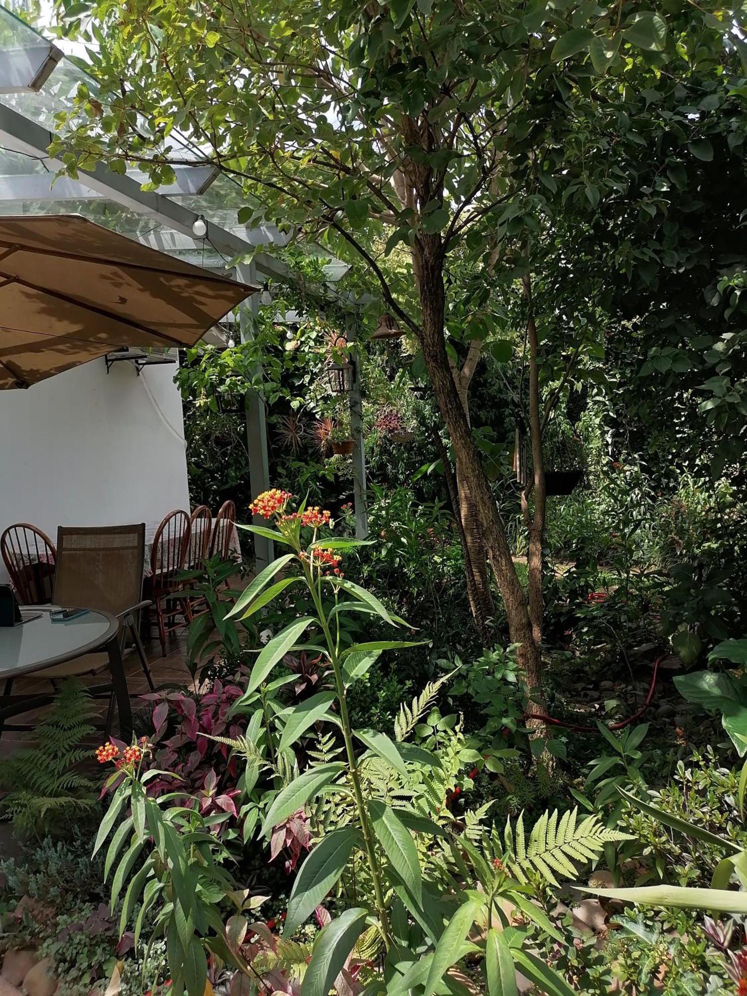 Granados Bed & Breakfast Асунсион Екстериор снимка